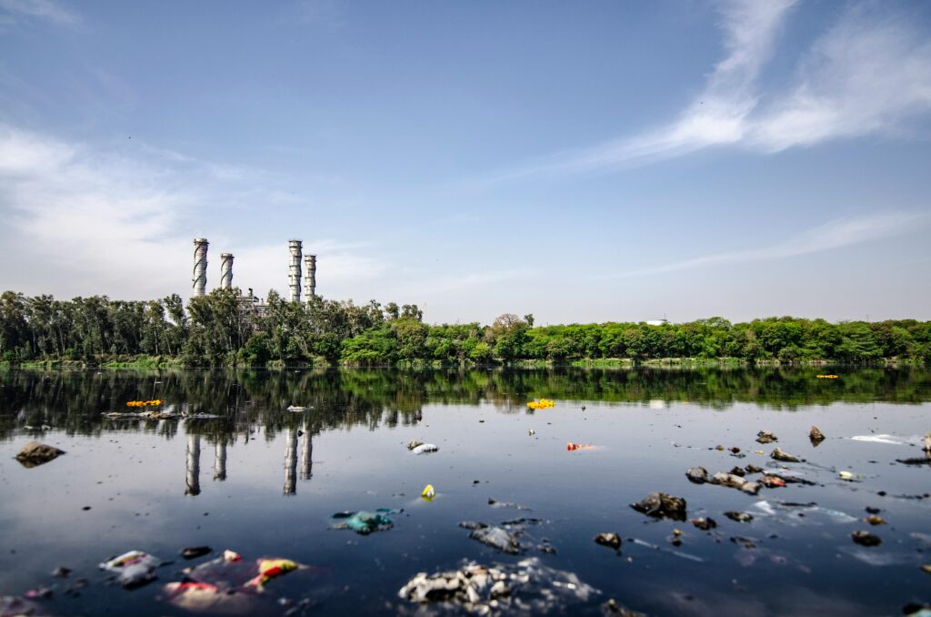 waste generated daily